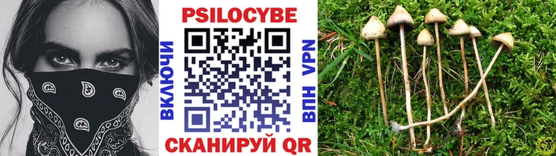 Псилоцибиновые грибы прущие грибы Иноземцево